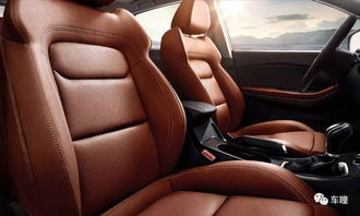 销量效益双增长，产品结构年轻化 奇瑞技术营销驱动汽车饰品销售新突破